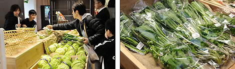 朝採れ新鮮　野菜市